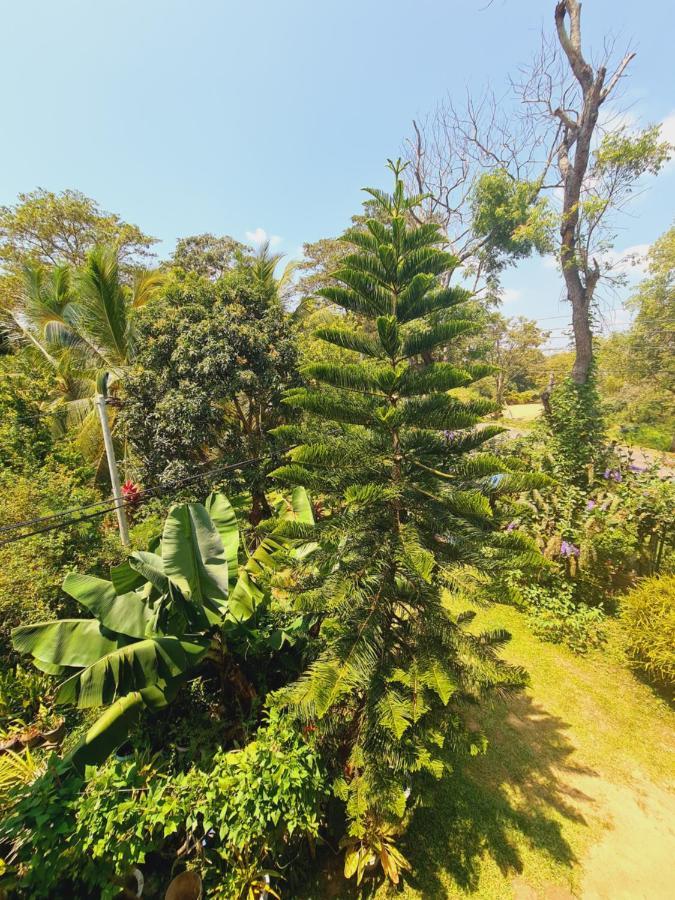 Peacock Villa Resort Udawalawe Kültér fotó