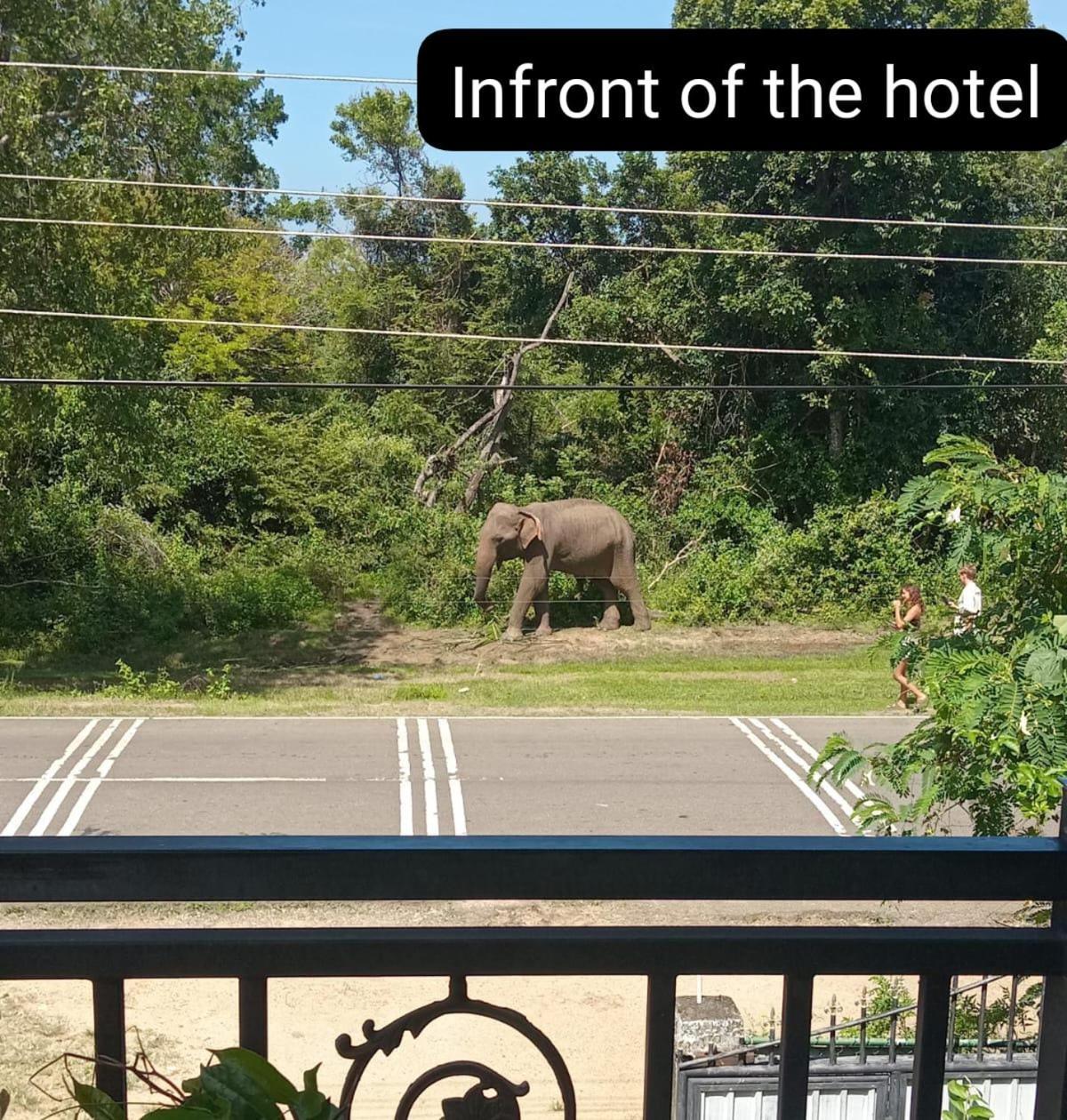 Peacock Villa Resort Udawalawe Kültér fotó