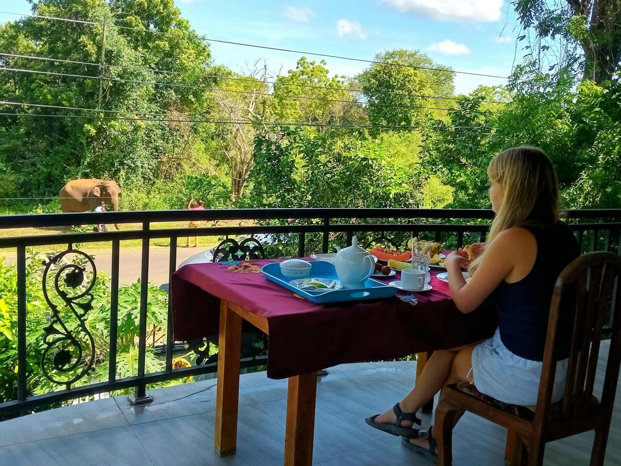 Peacock Villa Resort Udawalawe Kültér fotó
