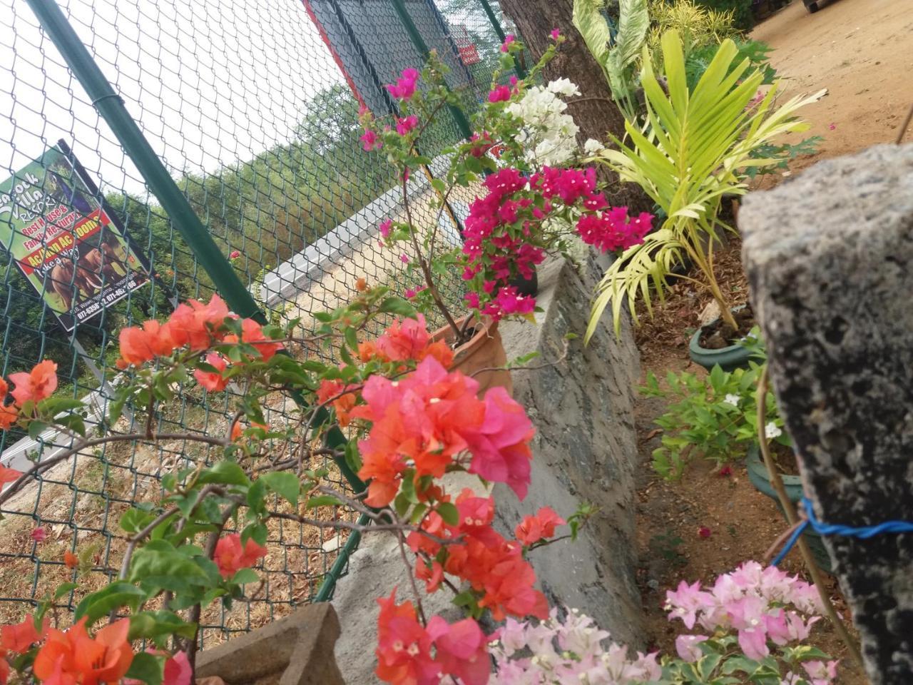 Peacock Villa Resort Udawalawe Kültér fotó